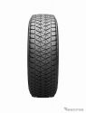 BRIDGESTONE BLIZZAK DM-V2